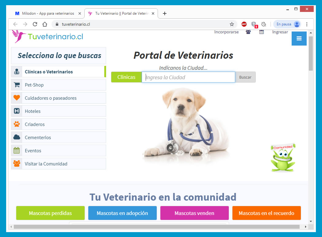 Portal Tu Veterinario